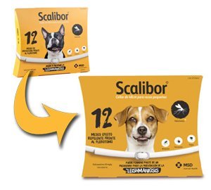 Collar SCALIBOR 12 meses